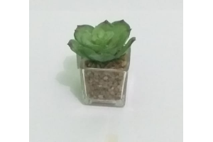 MINI ARRANJO SUCULENTA X6 CORES REF-41176-300