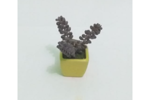 ARRANJO SUCULENTA CORES SORTIDAS REF-37766-300