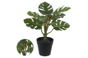 A PHILO REAL TOQUE C/ POTE X8 VERDE 30CM REF-43244003